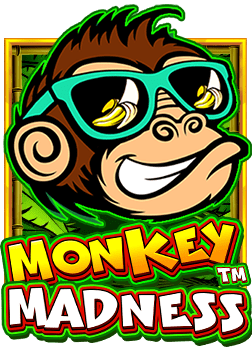 วิธีเล่น million slots casino แบบมือโปร